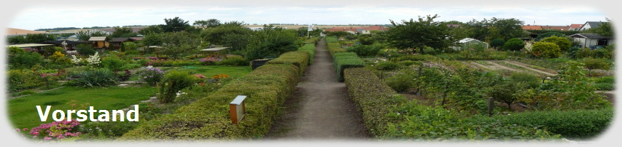 Vorstand